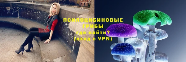 дживик Алексин
