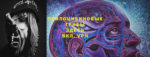 дживик Алексин